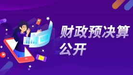 财政预决算公开