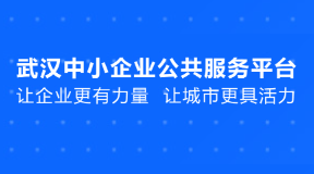 武汉中小企业公共服务平台