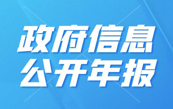 政府信息公开年报