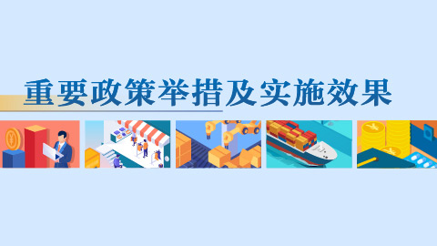 重要政策举措及实施效果