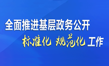 基层政务公开平台