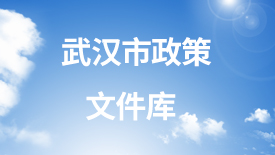 武汉市政策文件库