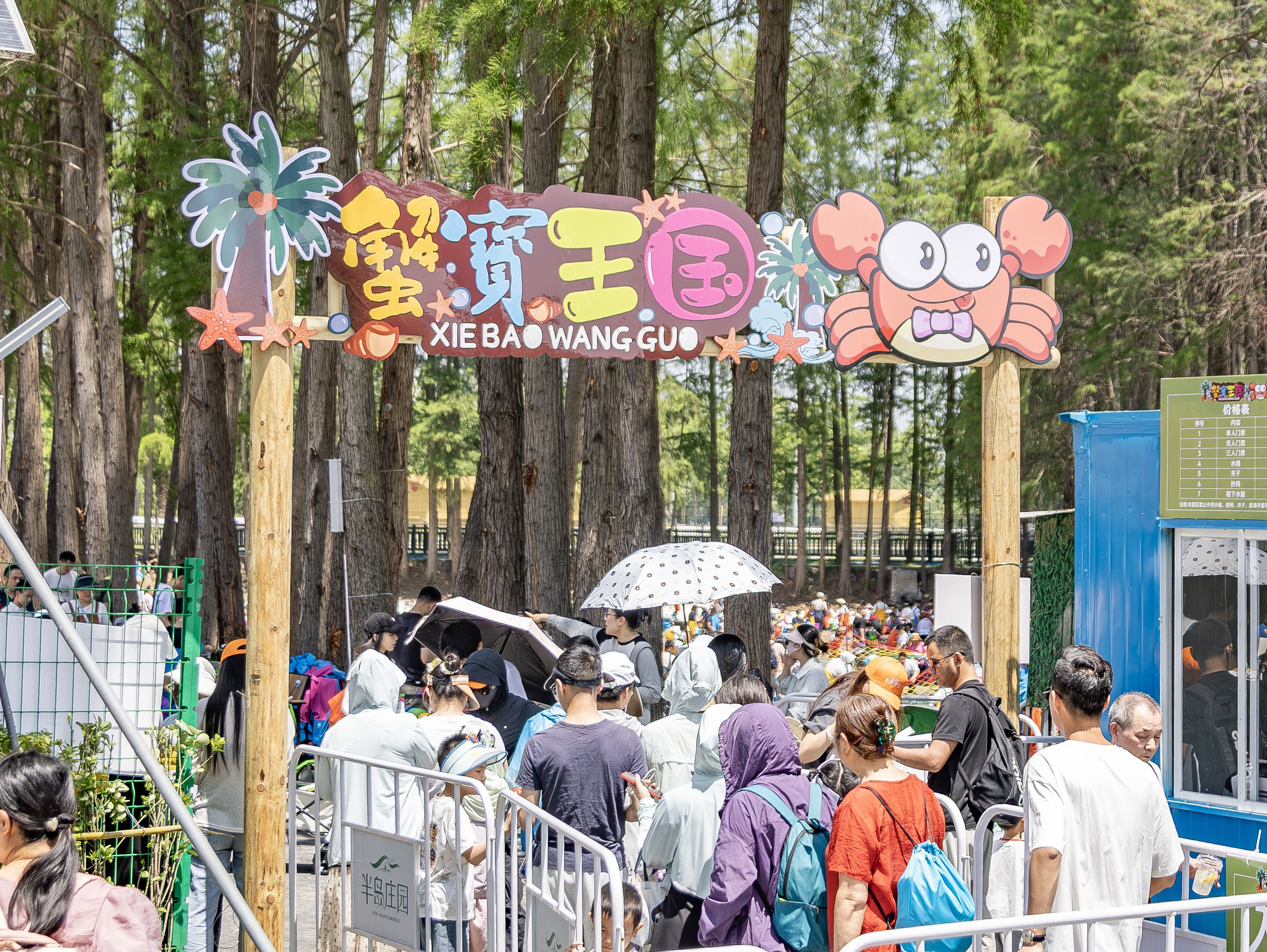 冲！半岛庄园能抓螃蟹摸鱼了