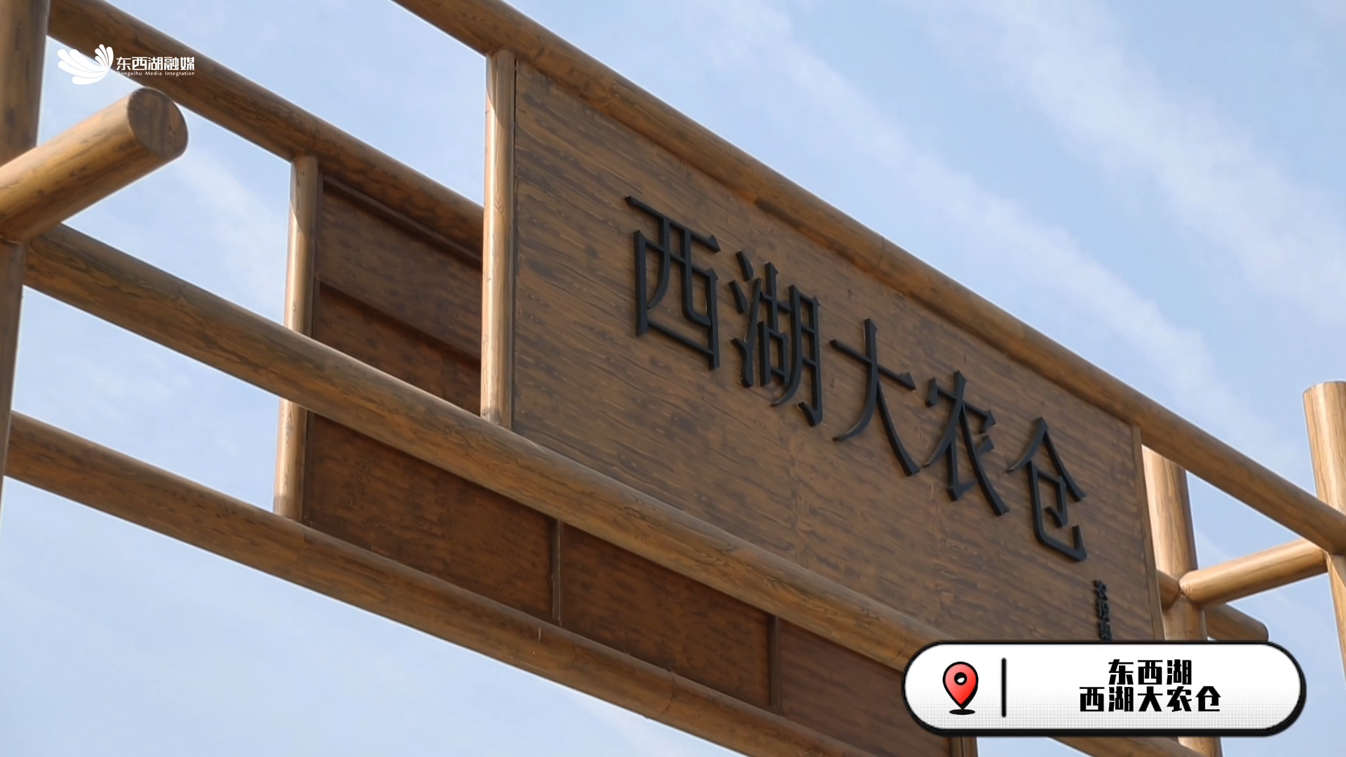 12小时内从田间到餐桌 西湖大农仓迎来第一个丰收季